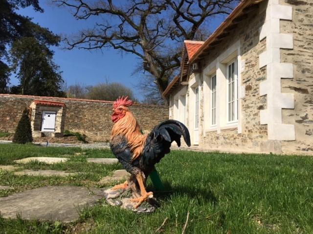 Gite L'Orangerie Villa Mouchamps Eksteriør billede